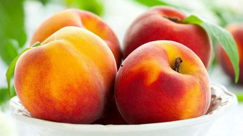 娱乐吃瓜酱橙色,揭秘橙色背后的秘密与魅力